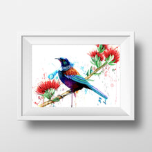 Load image into Gallery viewer, Tui on Pohutakawa-Mia Riddell Watercolour