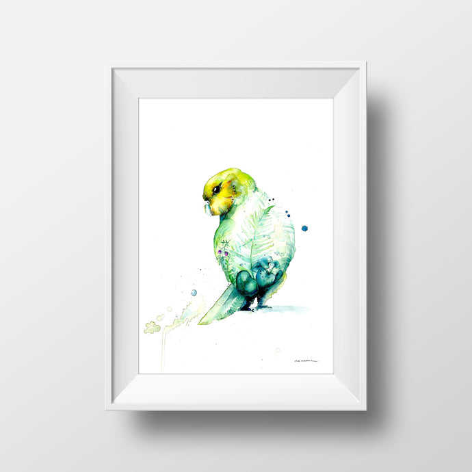Kakapo-Mia Riddell Watercolour