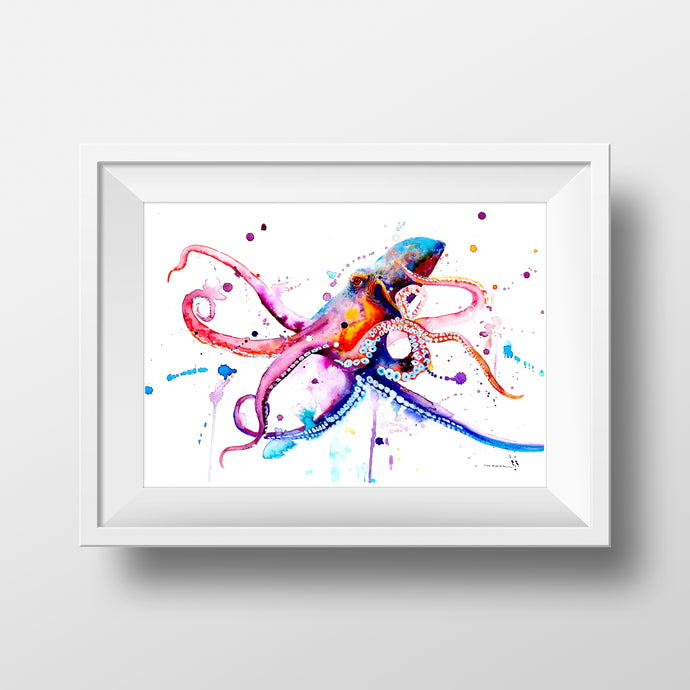 Octopus-Mia Riddell Watercolour