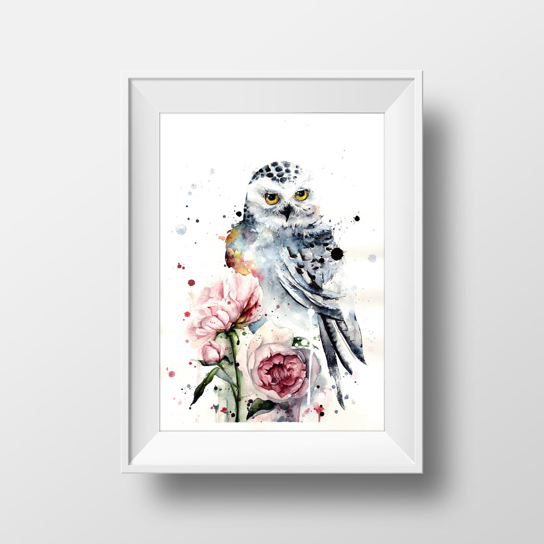 Snowy Owl on Peonies-Mia Riddell Watercolour
