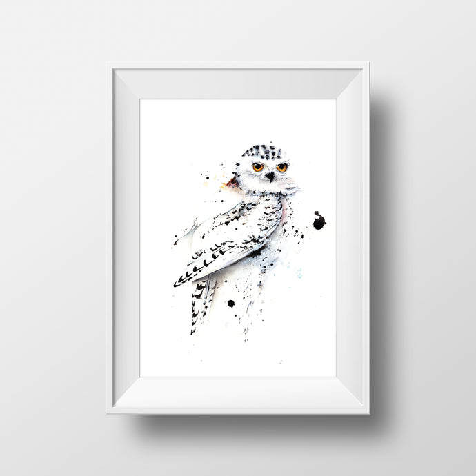 Snowy Owl-Mia Riddell Watercolour