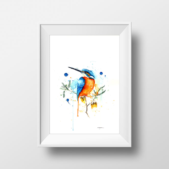 Kotare| Kingfisher on Kowhai-Mia Riddell Watercolour