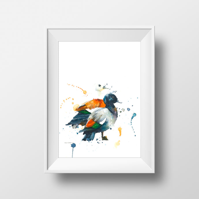 Paradise Ducks-Mia Riddell Watercolour